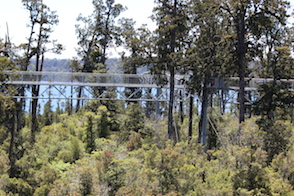 Anniversary and New Zealand 016 copy