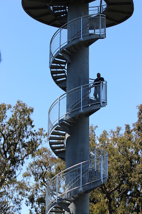 Anniversary and New Zealand 033 copy