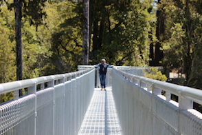 Anniversary and New Zealand 041 copy