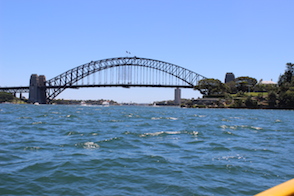 Anniversary and New Zealand 050 copy