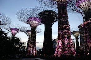 Anniversary and New Zealand 078 copy