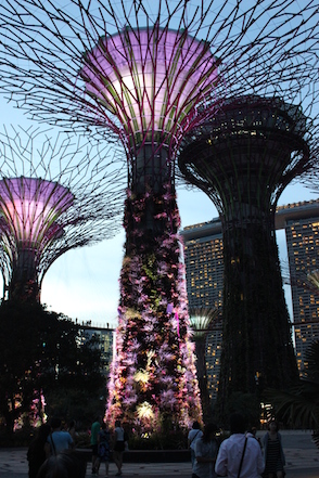 Anniversary and New Zealand 079 copy