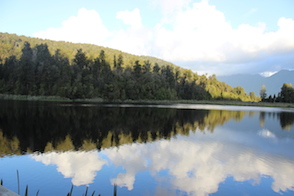 Anniversary and New Zealand 100 copy