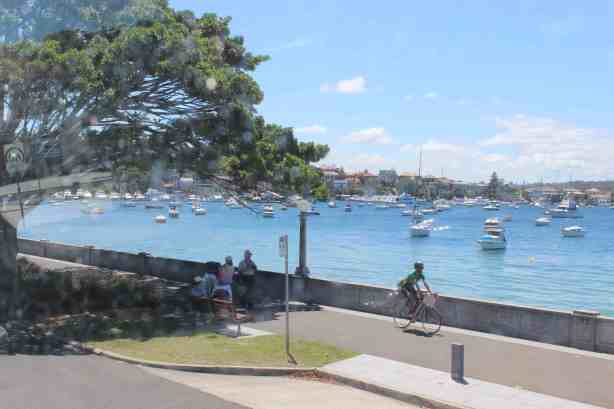 Anniversary and New Zealand 165 copy