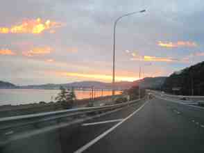 Anniversary and New Zealand 169 copy