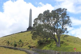 Anniversary and New Zealand 183