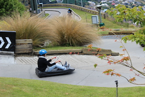 Anniversary and New Zealand 185 copy