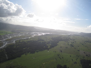 Anniversary and New Zealand 196 copy