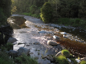 Anniversary and New Zealand 205 copy