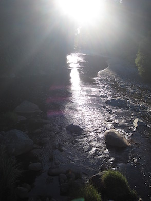 Anniversary and New Zealand 207 copy