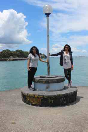 Anniversary and New Zealand 208 copy