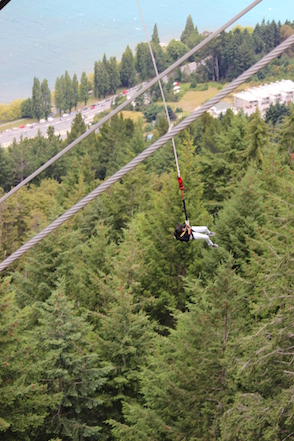 Anniversary and New Zealand 209 copy