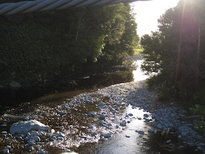 Anniversary and New Zealand 210 copy