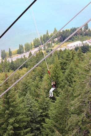 Anniversary and New Zealand 214 copy