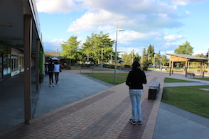 Anniversary and New Zealand 224 copy