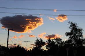 Anniversary and New Zealand 230 copy