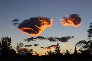 Anniversary and New Zealand 233 copy