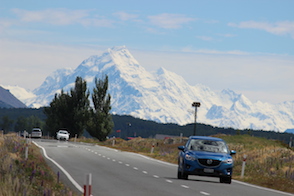 Anniversary and New Zealand 239 copy