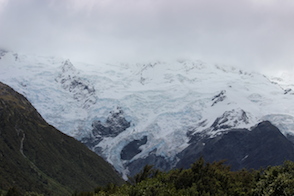 Anniversary and New Zealand 242 copy