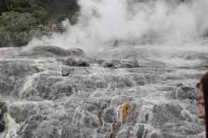 Anniversary and New Zealand 245 copy