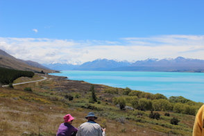 Anniversary and New Zealand 256 copy