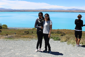 Anniversary and New Zealand 258 copy