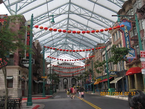 Anniversary and New Zealand 262 copy