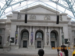 Anniversary and New Zealand 263 copy