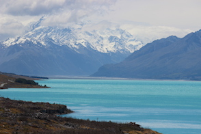 Anniversary and New Zealand 264 copy