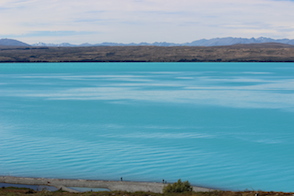 Anniversary and New Zealand 266 copy