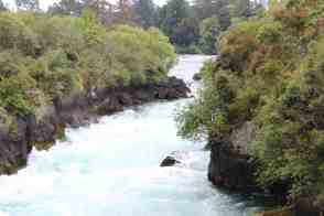 Anniversary and New Zealand 273 copy