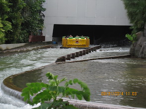 Anniversary and New Zealand 294 copy