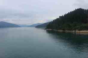 Anniversary and New Zealand 316 copy