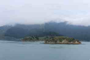 Anniversary and New Zealand 327 copy