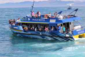 Anniversary and New Zealand 376 copy