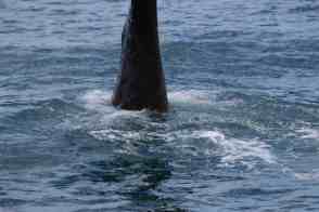 Anniversary and New Zealand 379 copy