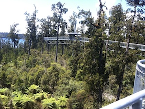 Sanjay's iphone 381 copy