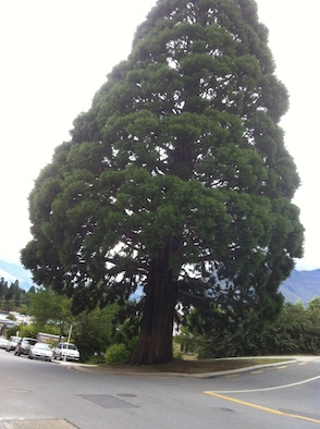 Sanjay's iphone 445 copy